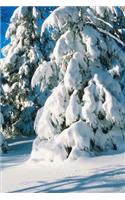 2020 Weekly Planner Winter Theme Snow Covered Evergreens 134 Pages: 2020 Planners Calendars Organizers Datebooks Appointment Books Agendas