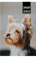 Yorkshire Terrier Dog Calendar Week Planner 2020 / 2021 - Waiting for Owner: Pup Puppy Doggie Pet Owner Weekly Bullet Journal Notebook Diary in 6" x 9" Inch Pocket Size