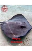 Stingray Sketchbook