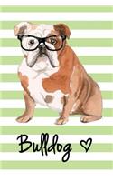 Bulldog: Soft Cover Blank Lined Journal (6 X 9) - Bulldog Illustration, Dog Lover Notebook