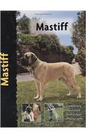 Mastiff (Pet Love)
