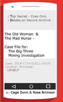 The Old Woman & The Mad Horse