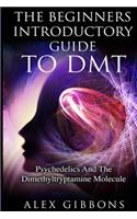 Beginners Introductory Guide To DMT - Psychedelics And The Dimethyltryptamine Molecule