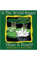 Is the World Bigger Than a Pond?