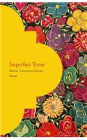 Imperfect Tense