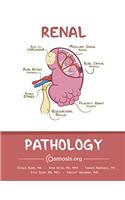 Osmosis Renal Pathology