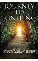 Journey to Igniting