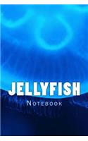 Jellyfish: Notebook