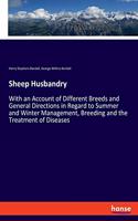 Sheep Husbandry