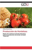 Produccion de Hortalizas