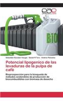 Potencial lipogenico de las levaduras de la pulpa de café