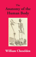 The Anatomy of the Human Body