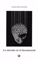 La mirada en el documental: Manual didactico de estetica, narracion y musica en el cine de no ficcion para contextos educativos (Spanish Edition)