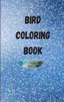 Bird Coloring Book