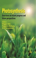 Photosynthesis: Overviews on Recent Progress and Future Perspectives