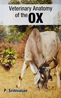 Veterinary Anatomy Of The Ox