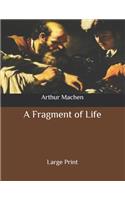 A Fragment of Life: Large Print
