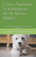 Cómo Aumentar la Inteligencia de Un Bichón Maltés: Un Perro Bichón Maltés Más Inteligente Es Más Obediente