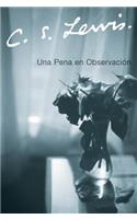 Una Pena En Observacion