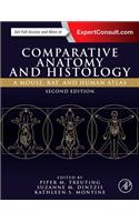 Comparative Anatomy and Histology