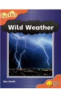 Oxford Reading Tree: Level 6: Wild Weather