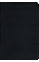 TNIV Popular with Bible Guide, Black Bonded Leather