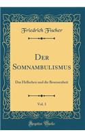 Der Somnambulismus, Vol. 3: Das Hellsehen Und Die Besessenheit (Classic Reprint)