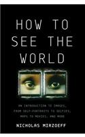 How to See the World