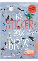 Big Sticker Book of Birds