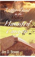 The Foster Twins in the Mystery of the Haunted Canyon