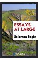 Essays at Large