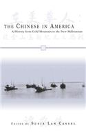 The Chinese in America
