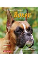 Training Your Boxer