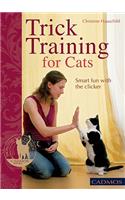 Trick Training for Cats