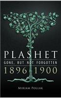 Plashet - Gone, but not forgotten