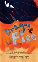 Dragon Fire