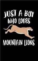 Just A Boy Who Loves Mountain Lions: Animal Nature Collection