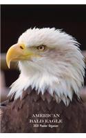 American Bald Eagle 2020 Planner Organizer