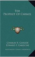 The Prophet Of Carmel