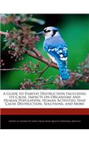 A Guide to Habitat Destruction Including Its Cause, Impacts on Organisms and Human Population, Human Activities That Cause Destruction, Solutions, and More
