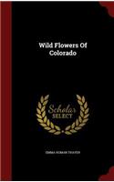 Wild Flowers of Colorado