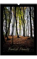 Forest Moods 2017