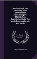 Beschreibung Und Abbildung Einer Sonderbaren Misstaltung Der Männlichen Geschlechtstheile Von Maria Dorothea Derrier Aus Berlin