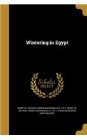 Wintering in Egypt