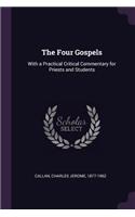 The Four Gospels: With a Practical Critical Commentary for Priests and Students