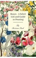 Roses - A Select List and Guide to Pruning