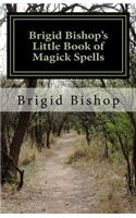 Brigid Bishop's Little Book of Magick Spells: 21st Century Magick