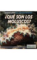 ¿Qué Son Los Moluscos? (What Are Mollusks?)