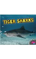 Tiger Sharks
