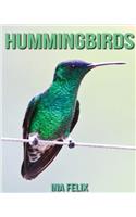 Hummingbirds: Children Book of Fun Facts & Amazing Photos on Animals in Nature - A Wonderful Hummingbirds Book for Kids aged 3-7